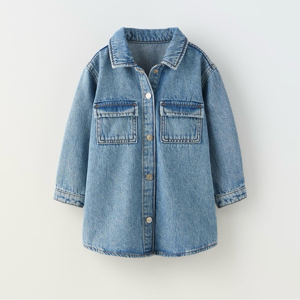 Zara Denim Shirtdress